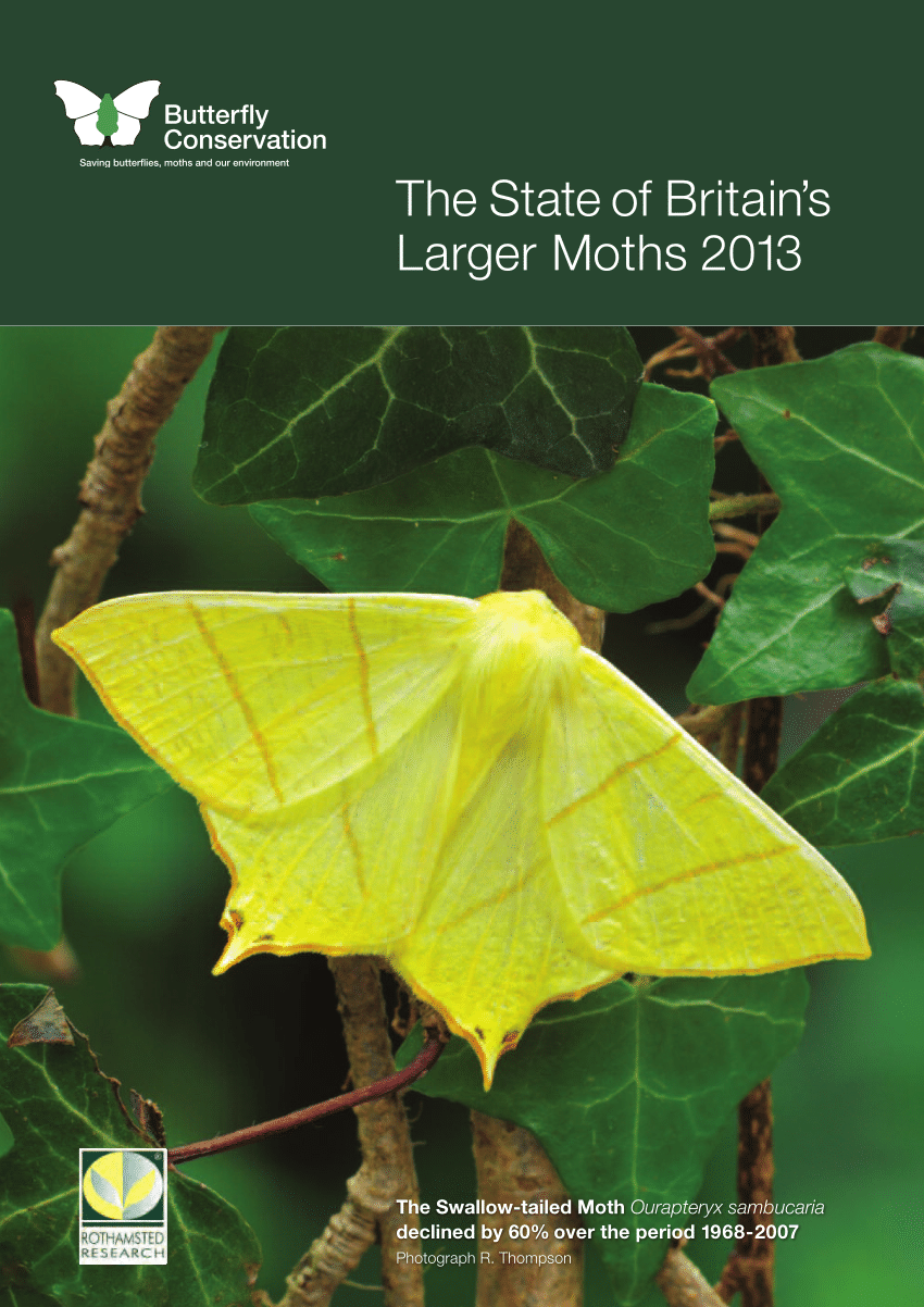 (PDF) The State of Britain’s Larger Moths 2013