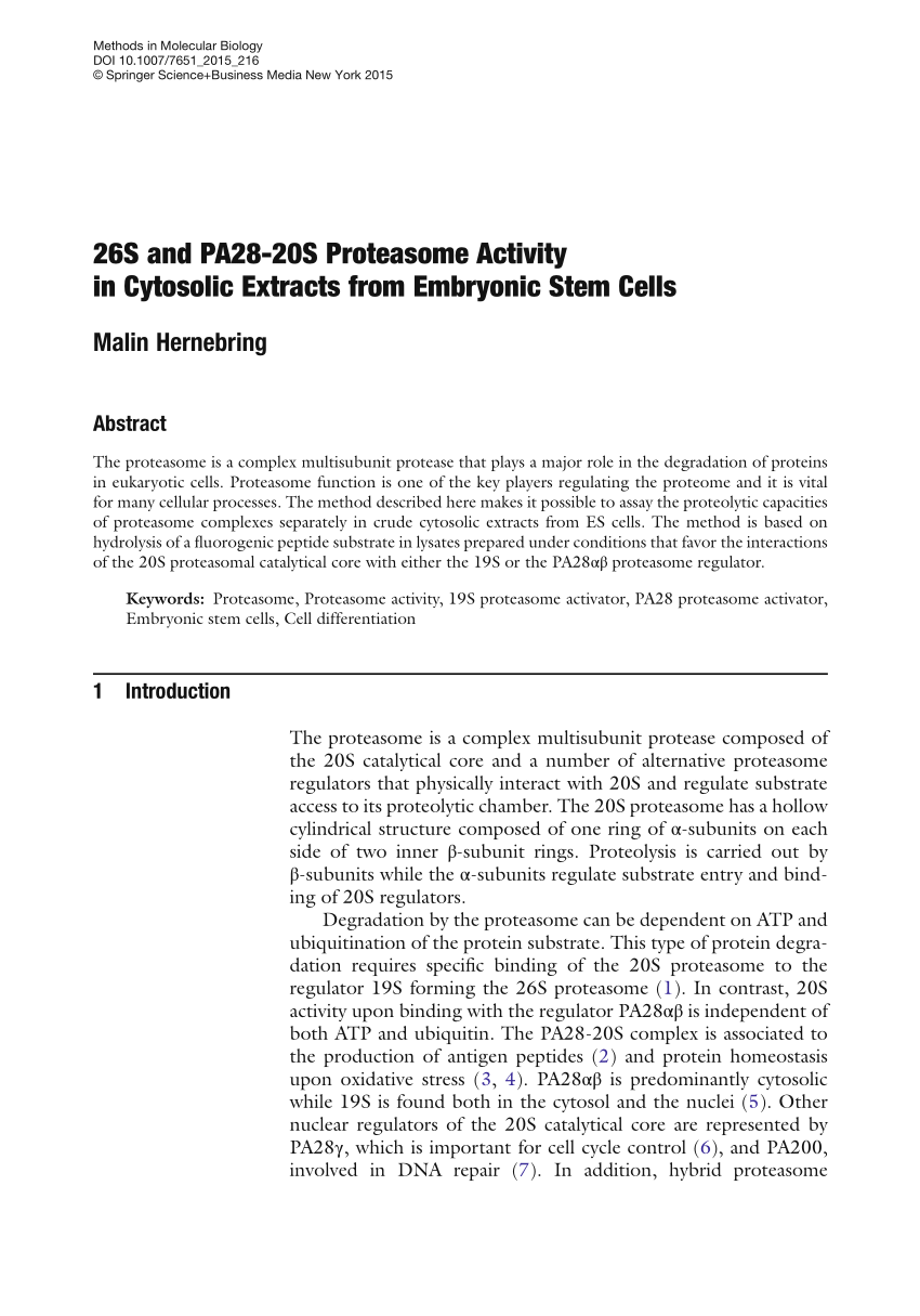 Pdf 26s And Pa28 20s Proteasome Activity In Cytosolic Extracts From