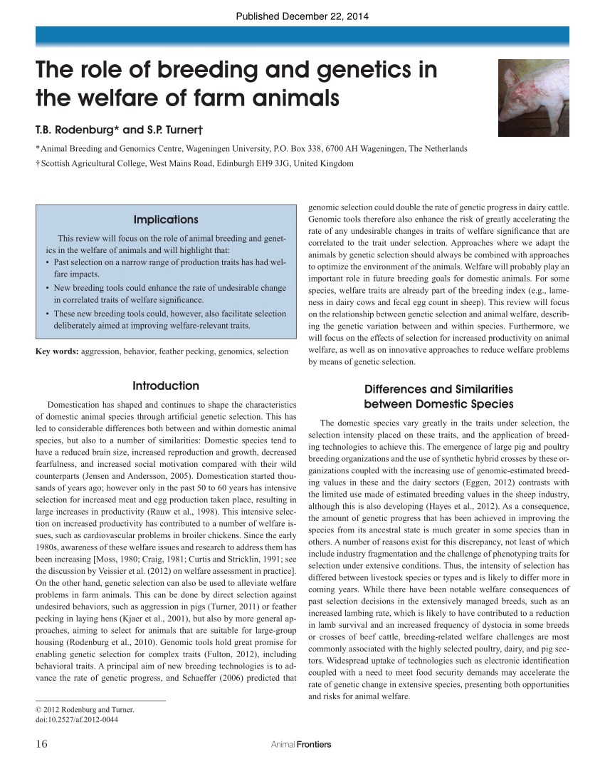 PDF) The role of breeding and genetics in the welfare of farm animals