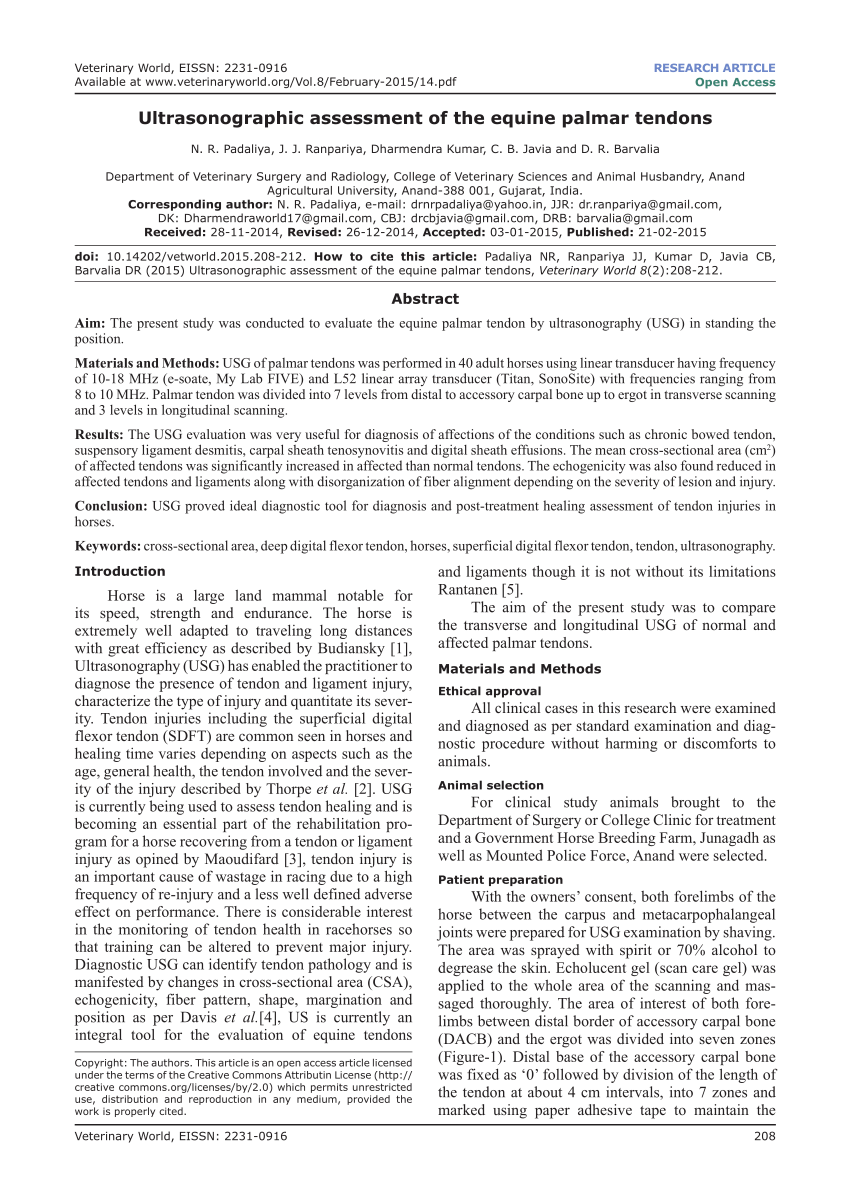 PDF) Topographic Description of Metacarpal Tendons and Ligaments of Anatoly  Donkey by Ultrasonography and Introducing a New Ligament