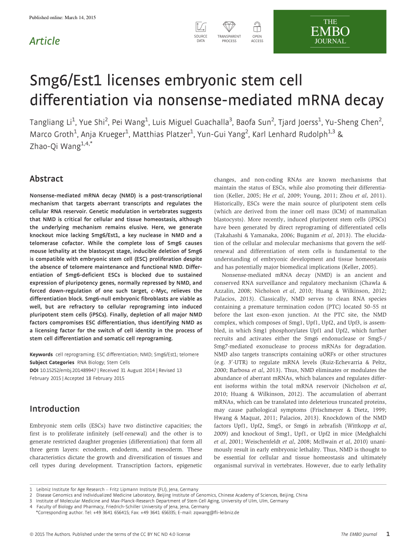 PDF) Smg6/Est1 licenses embryonic stem cell differentiation via 
