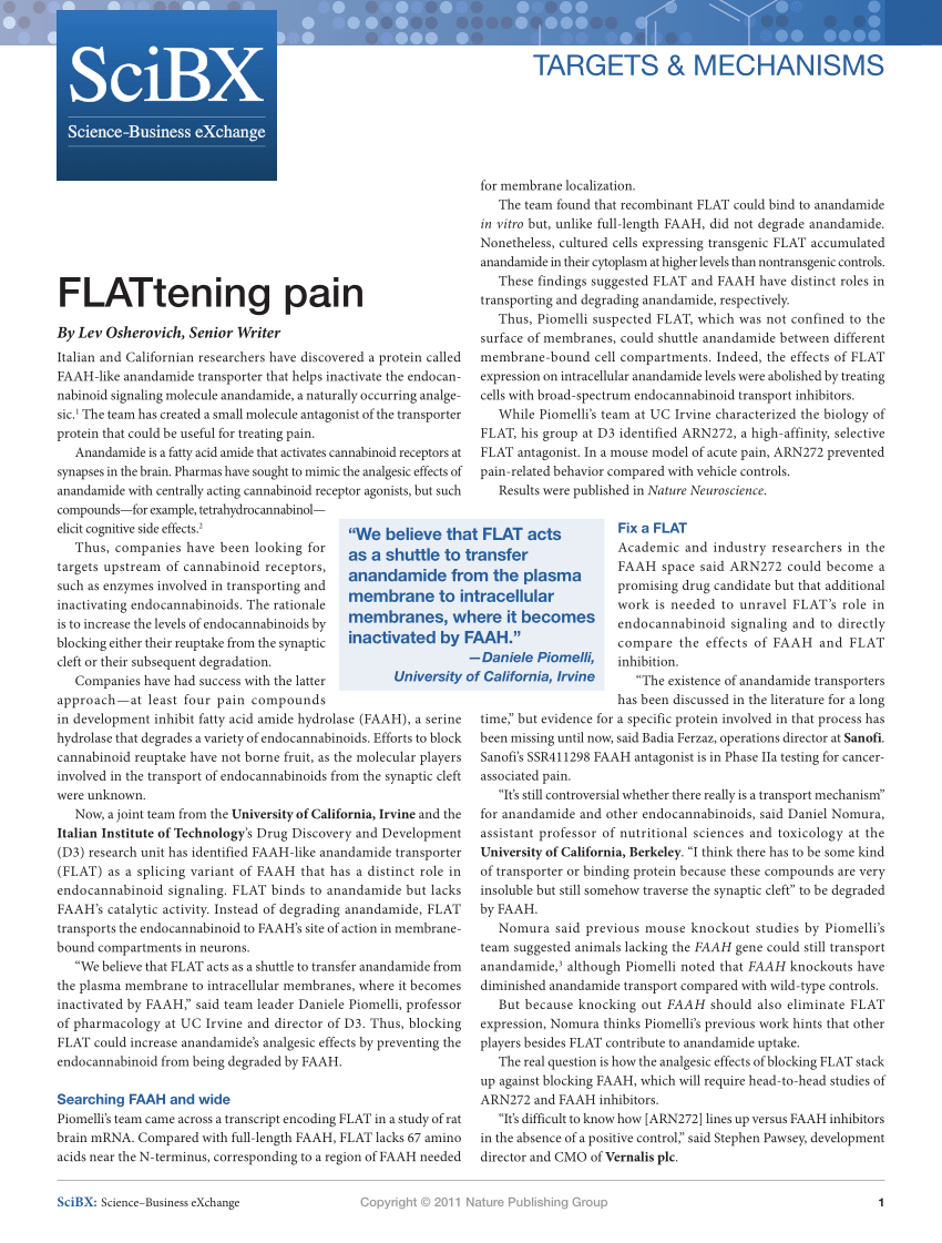 pdf-flattening-pain