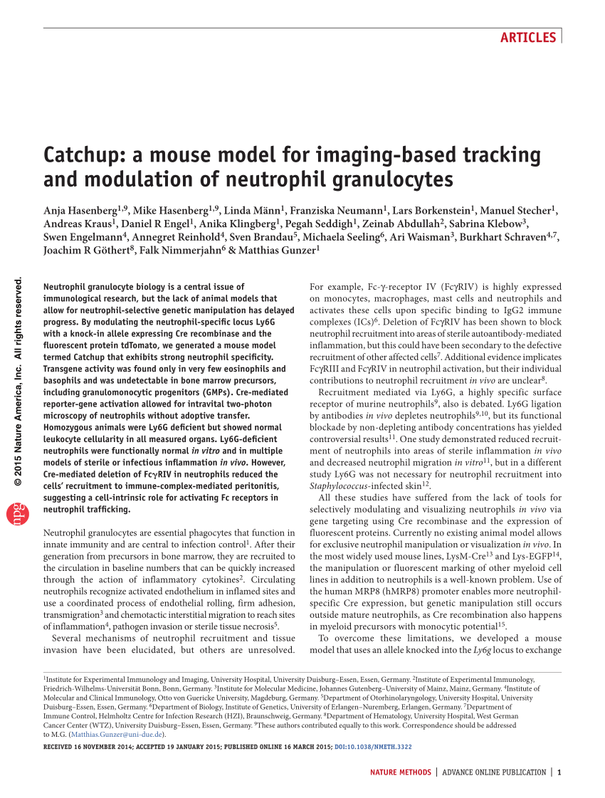 PDF) Catchup: A mouse model for imaging-based tracking and