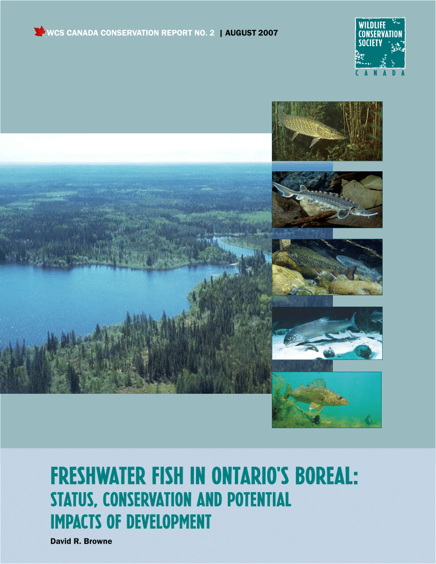 PDF) Freshwater fish in Ontario's boreal: Status, conservation and