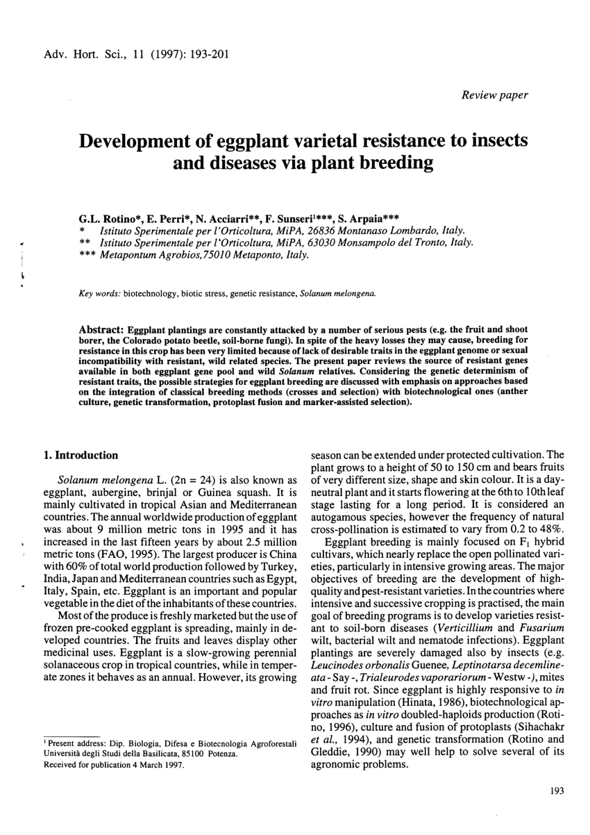 research paper of eggplant