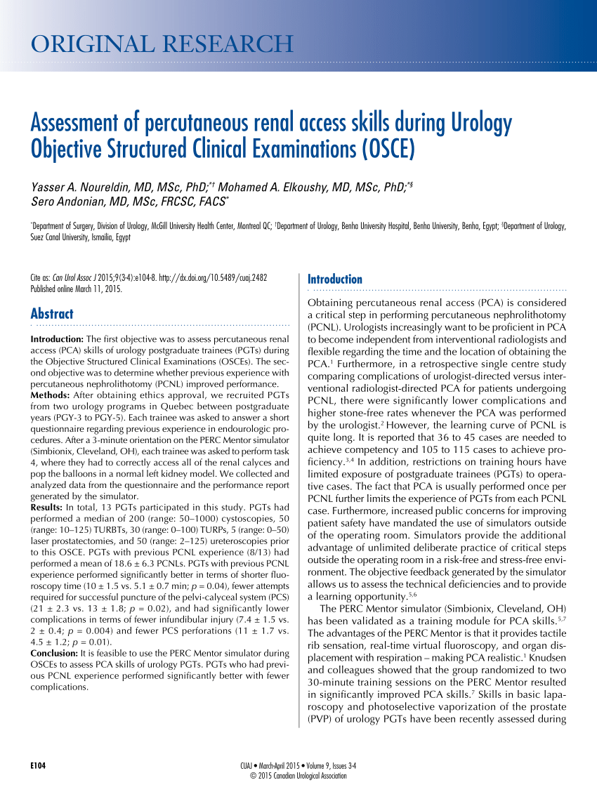 (PDF) Assessment of percutaneous renal access skills during Urology