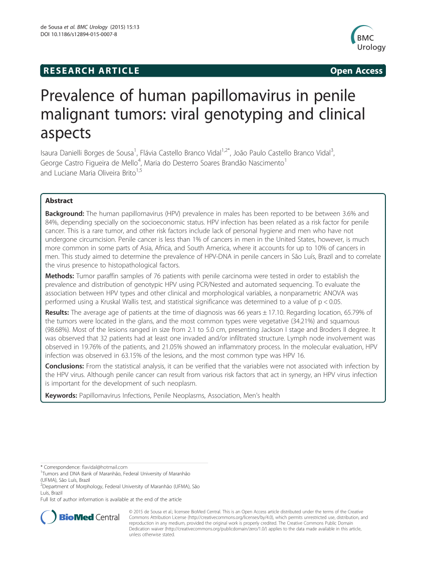 human papillomavirus in penile malignant tumors