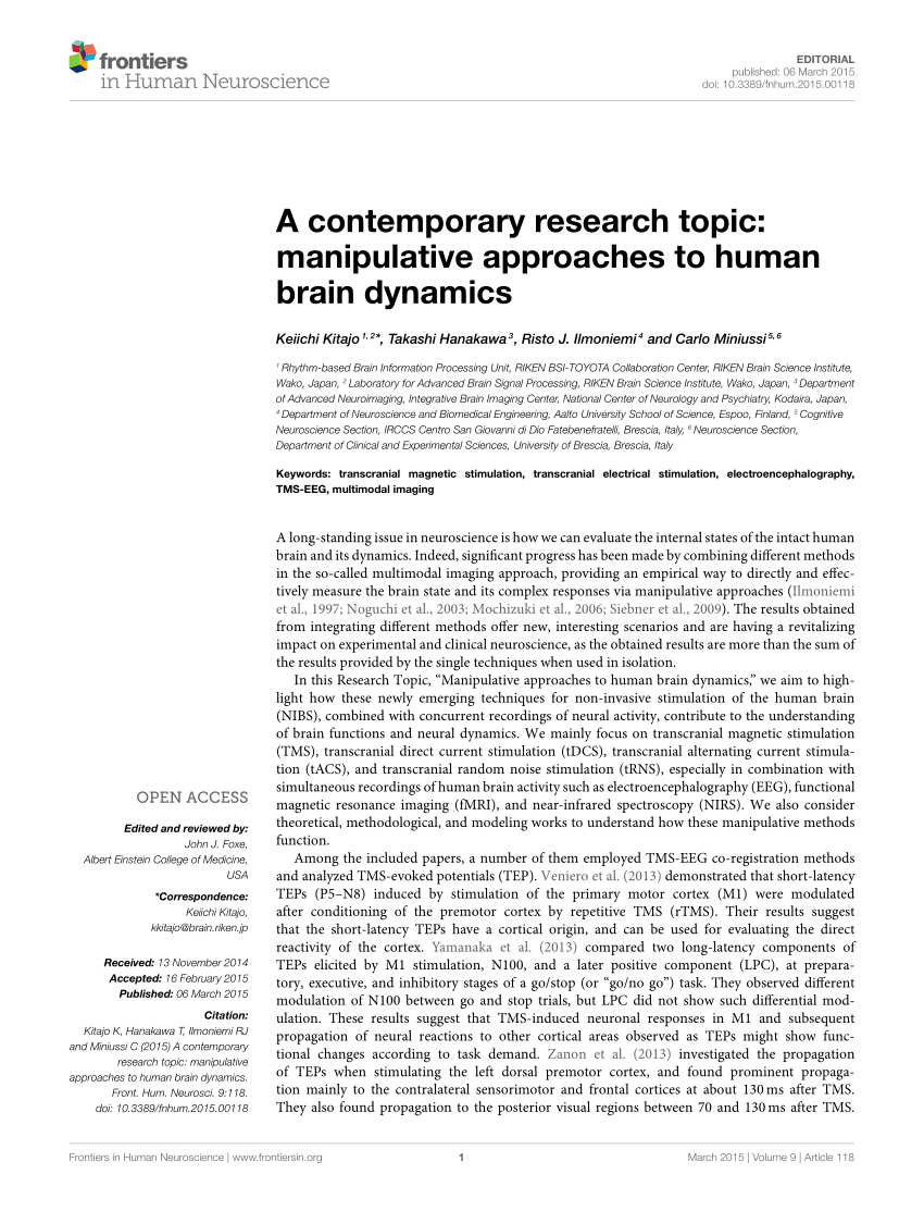 research paper on the human brain