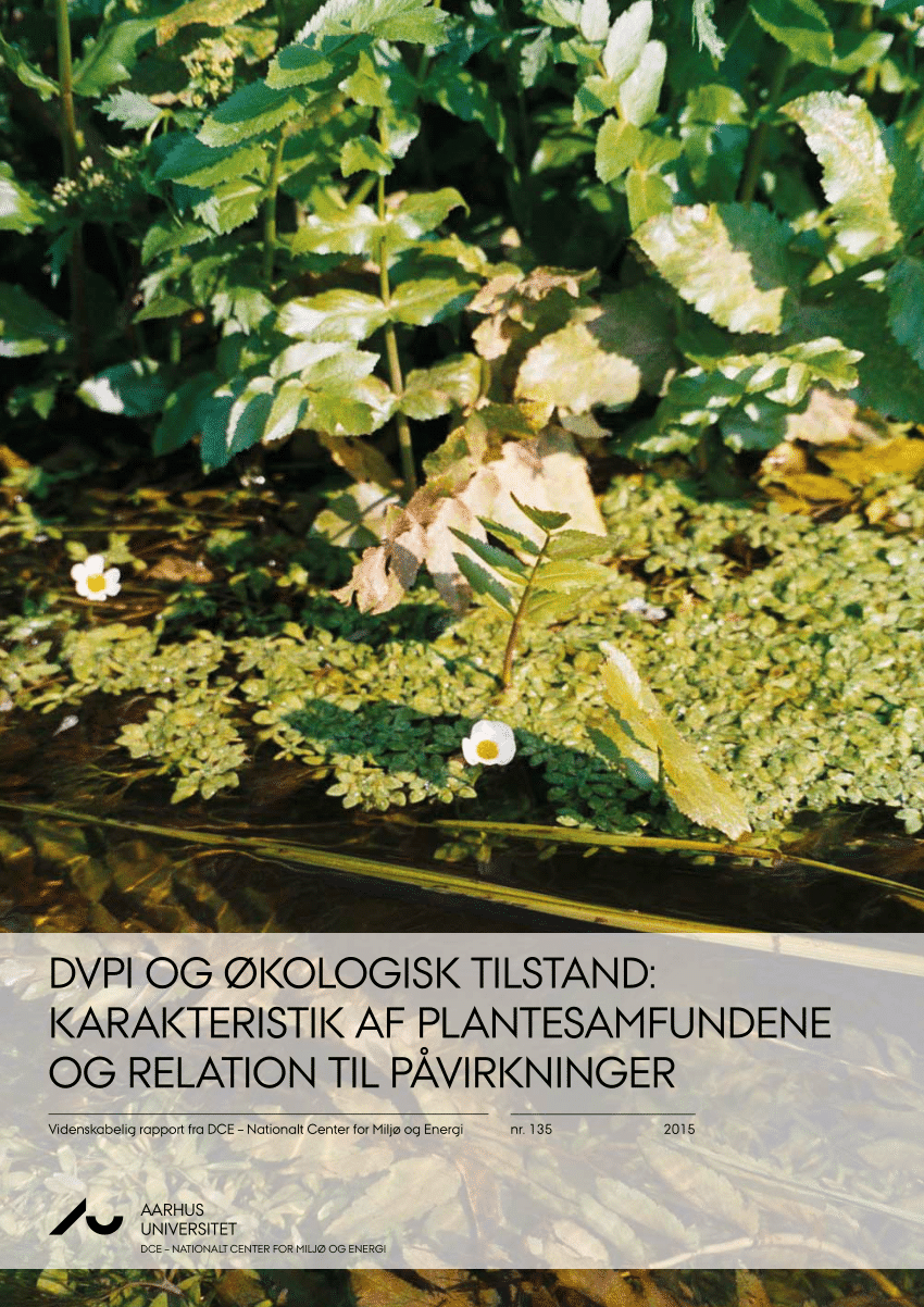 PDF) DVPI og økologisk Karakteristik plantesamfundene og relation til påvirkninger. Videnskabelig rapport no 135.