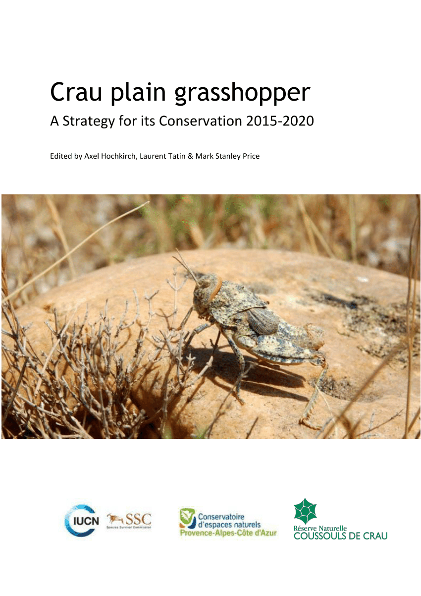 Pdf Crau Plain Grasshopper Conservation Strategy