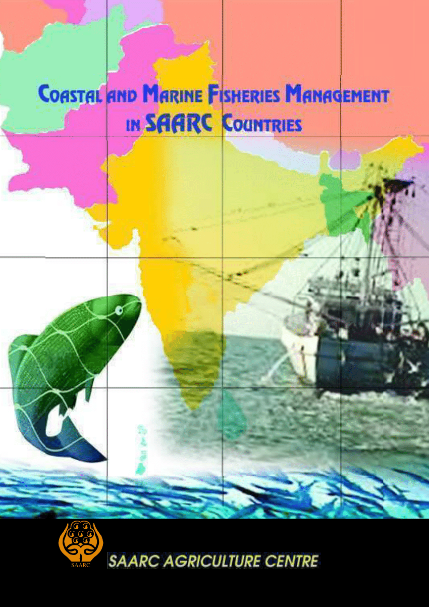 Green Monofilament Types Sardine Products Gillnet Nylon Fish Catch Net -  China Fishing Nets Sardines and Sardine Nets price