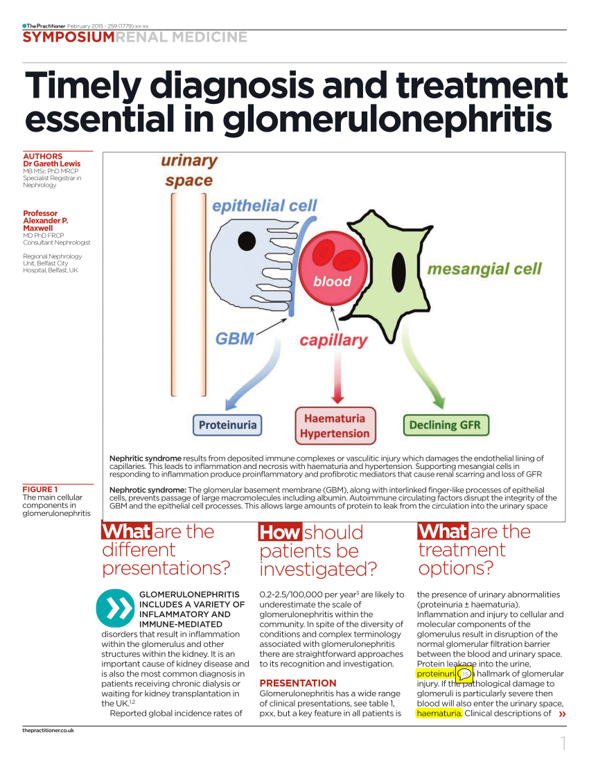 clinical problem solvers glomerulonephritis