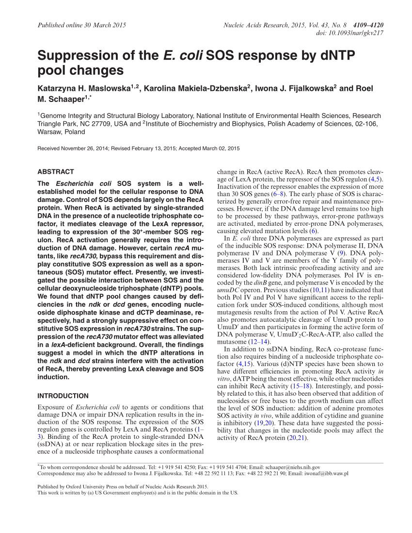 Pdf Suppression Of The E Coli Sos Response By Dntp Pool Changes