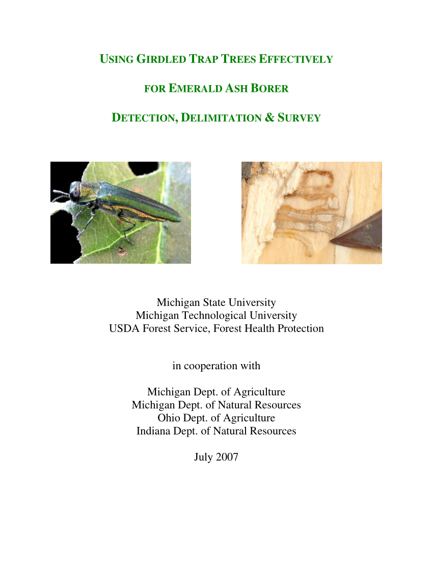 Evaluation of Double-Decker Traps for Emerald Ash Borer (Coleoptera:  Buprestidae)