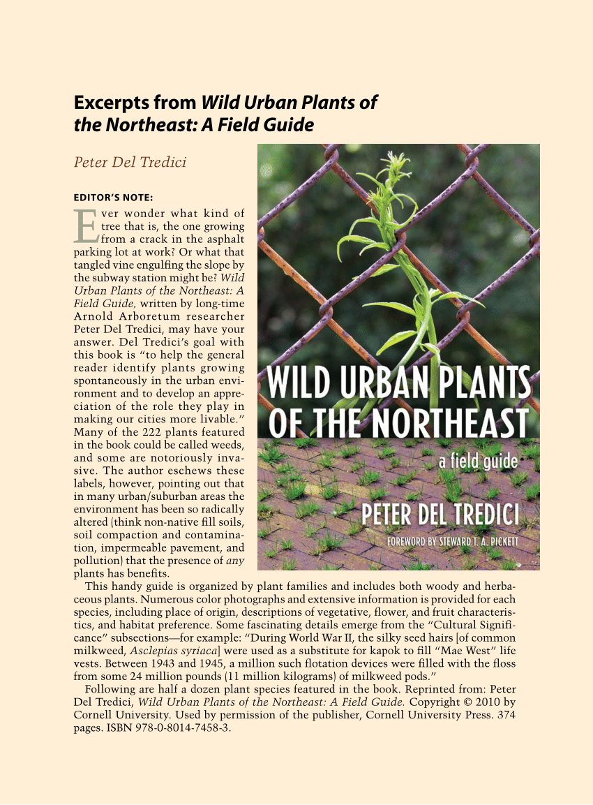 wild urban plants of the northeast a field guide