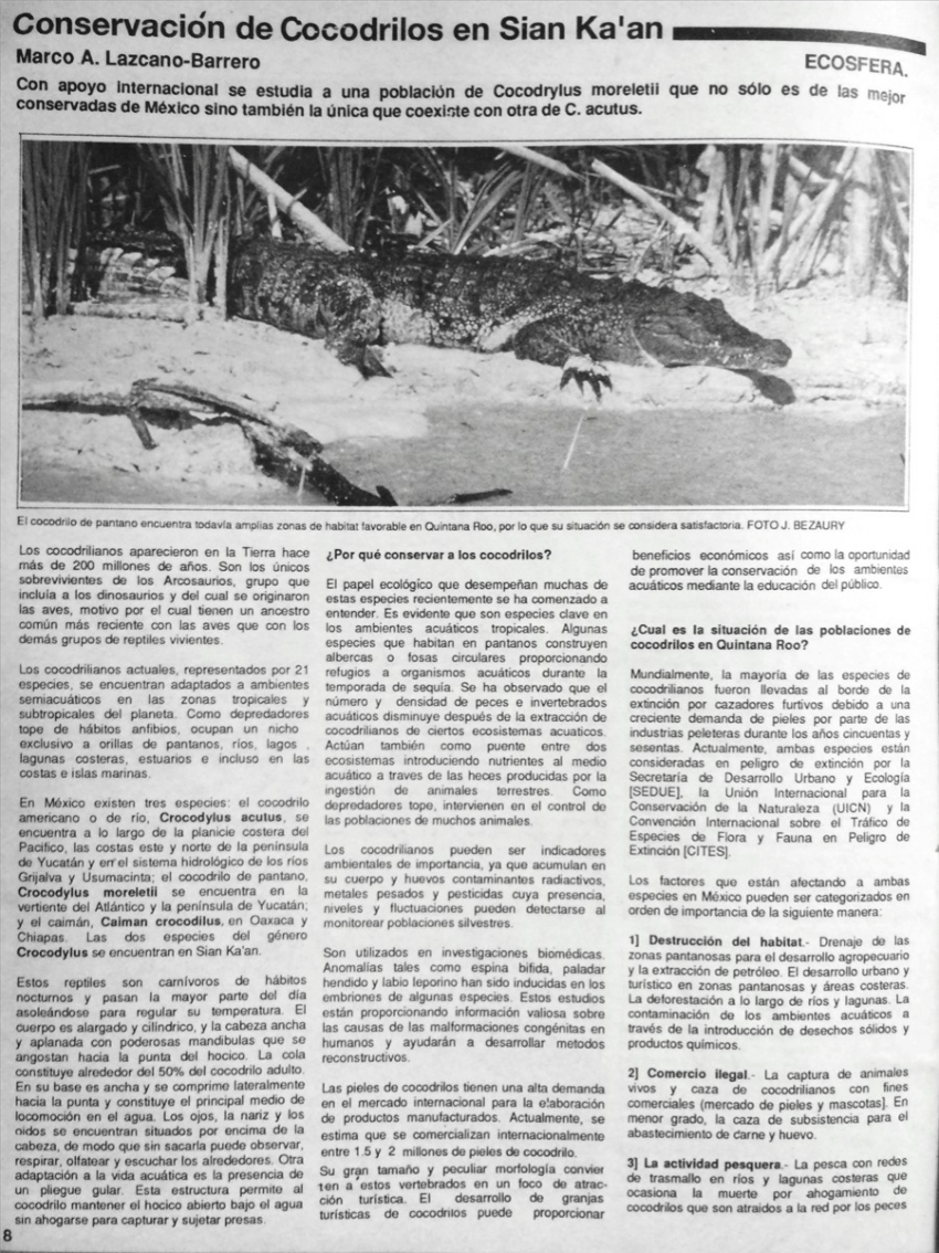 PDF) Conservación de Cocodrilos en Sian Ka'an.