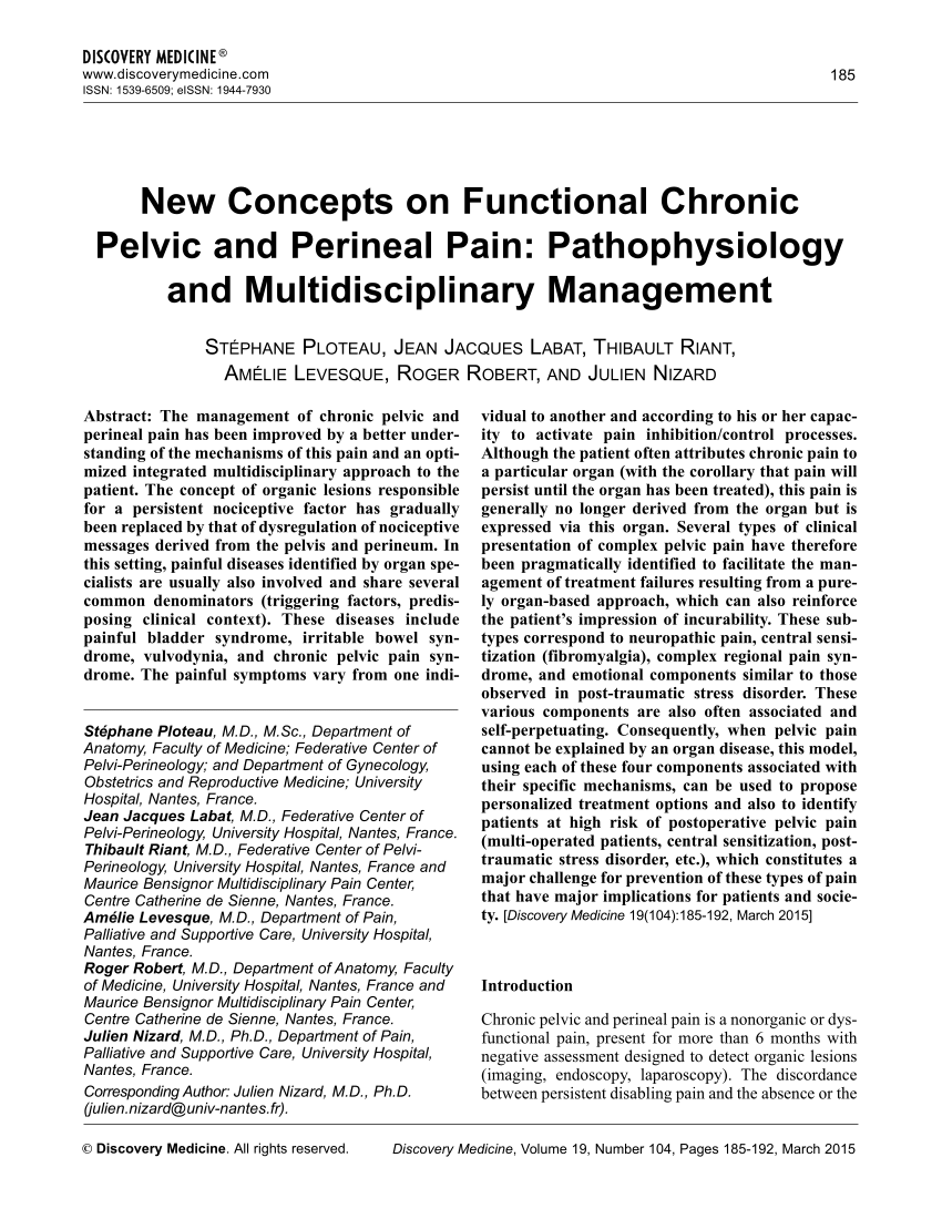 Pdf New Concepts On Functional Chronic Pelvic And Perineal