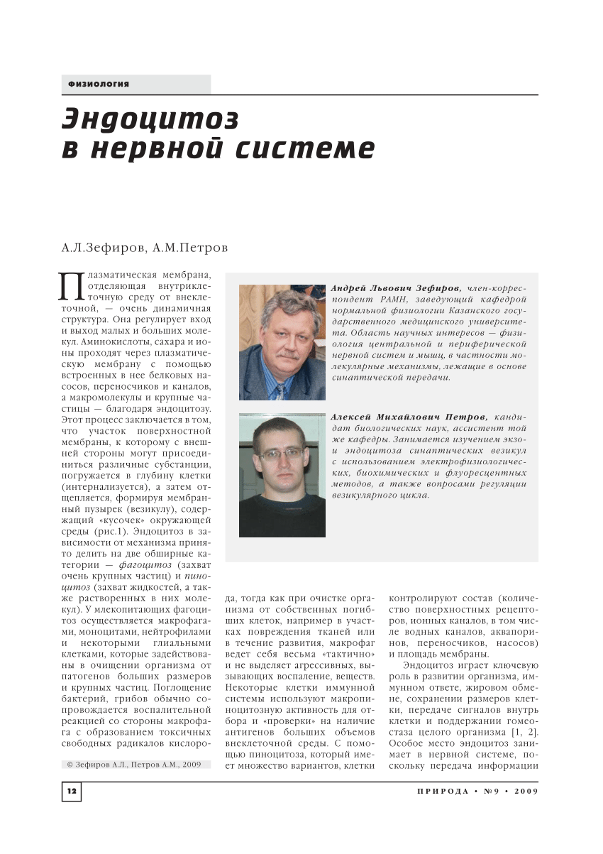 PDF) Эндоцитоз в нервной системе