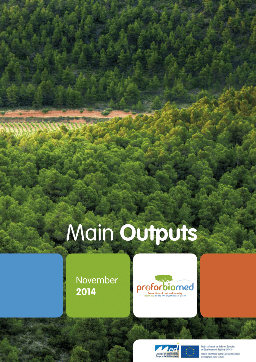 PDF) Main Outputs - PROFORBIOMED - Promotion of residual forest ...