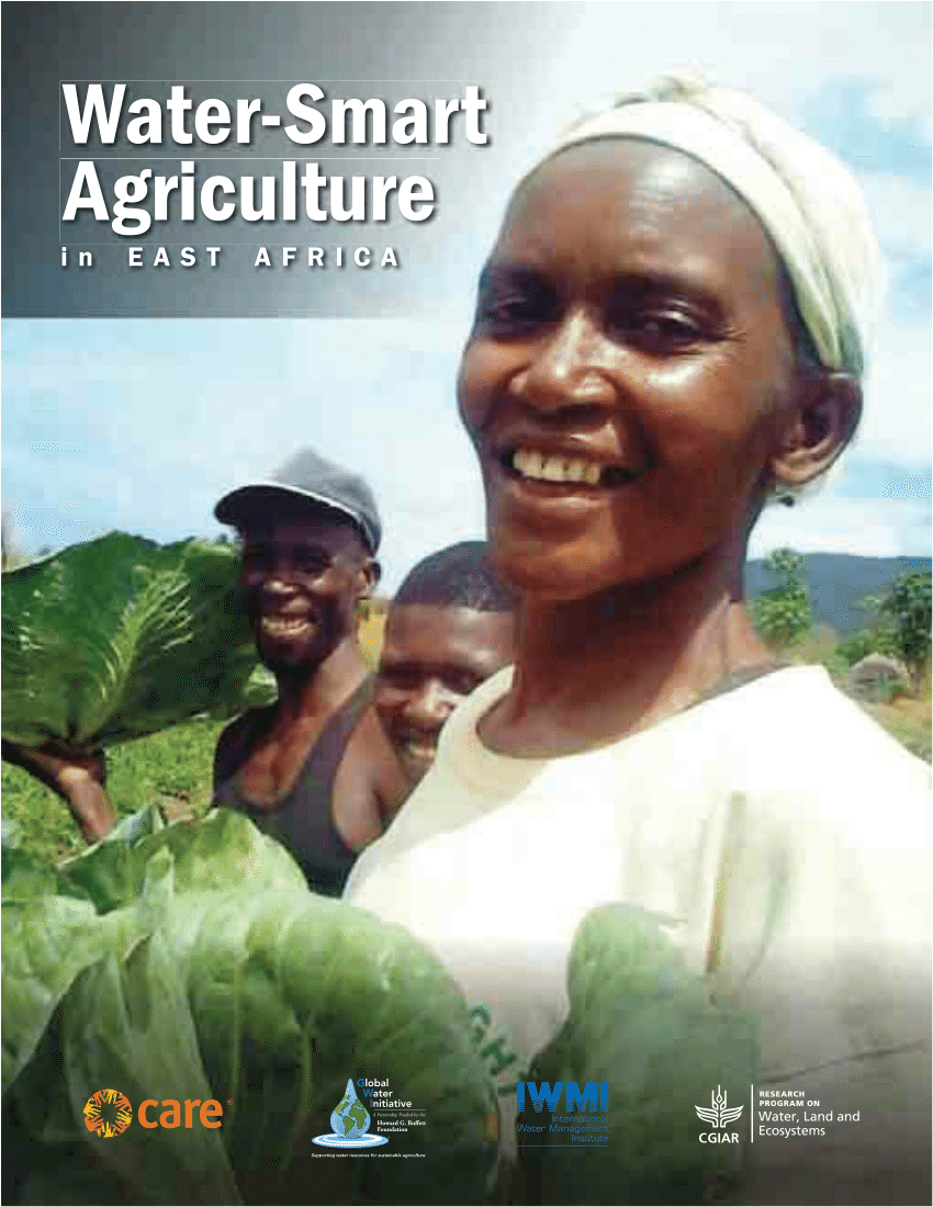 PDF) Water-smart agriculture in East Africa