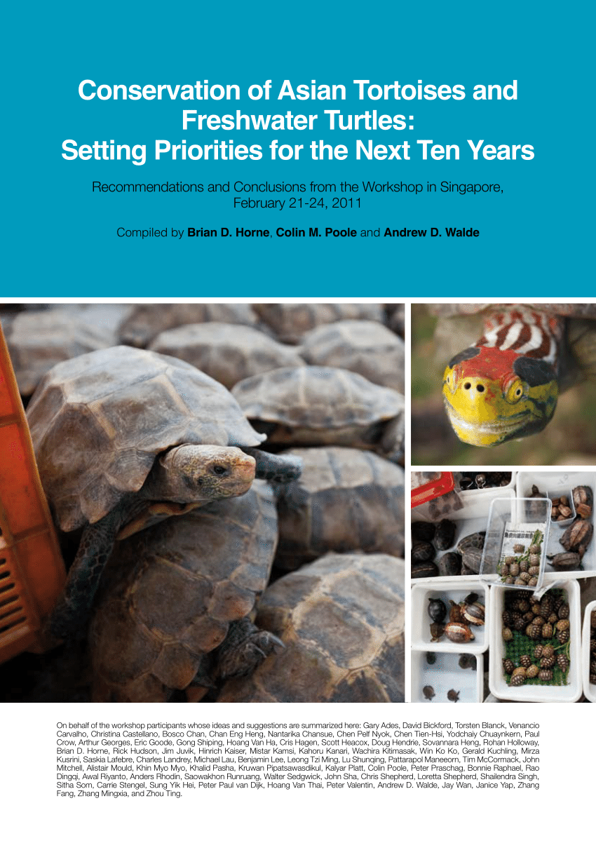 PDF) Conservation of Asian Tortoises and Freshwater Turtles: Setting  Priorities for the Next Ten Years