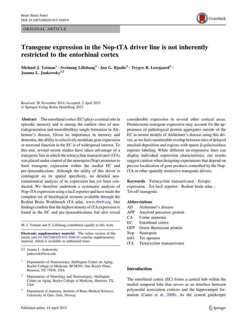 TTA-19 Exam Fragen