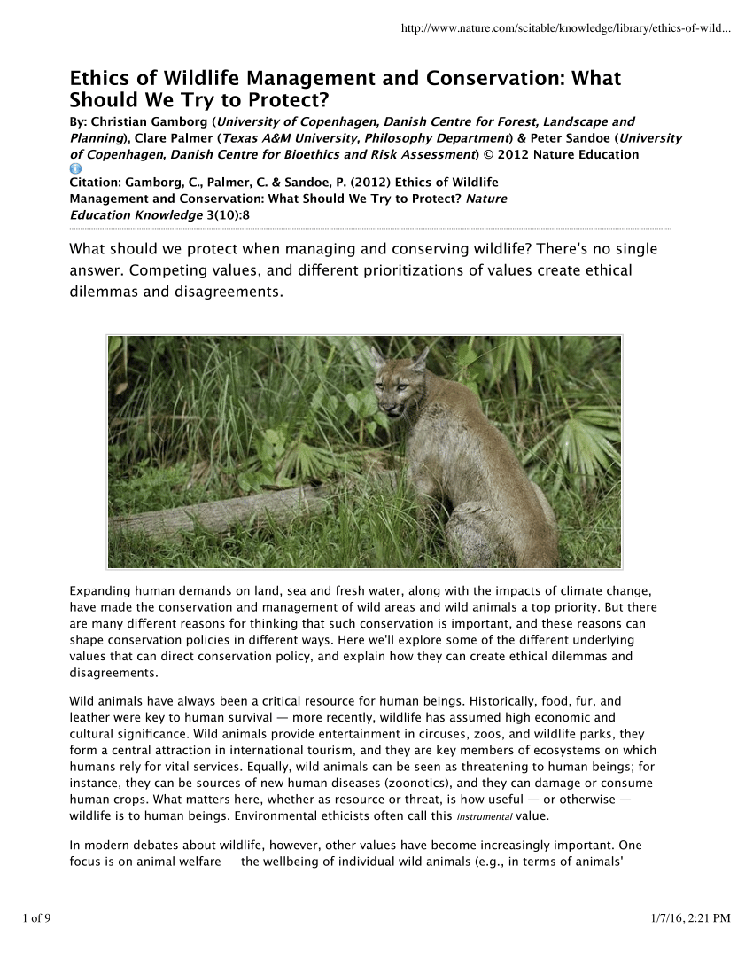 PDF) Ethics of wildlife management and conservation: What should we try to  protect?