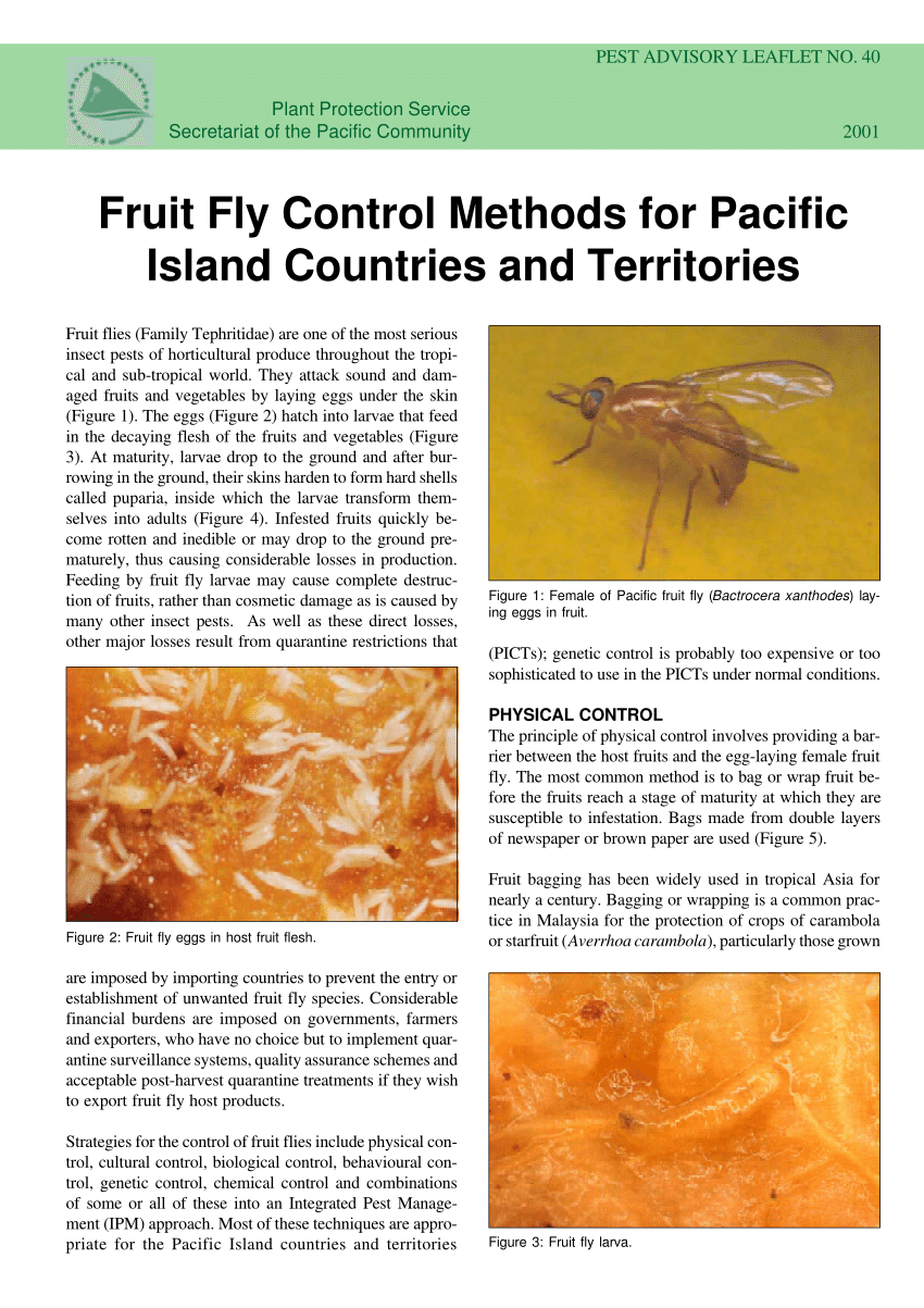 https://i1.rgstatic.net/publication/275026634_Fruit_Fly_Control_Methods_for_Pacific_Island_Countries_and_Territories/links/552f58450cf2d495071aacdb/largepreview.png