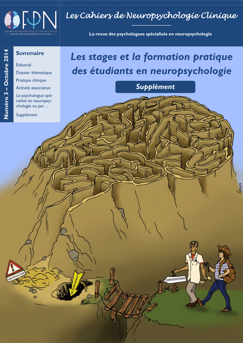 (PDF) Etat des lieux des conditions et pratiques des stages en