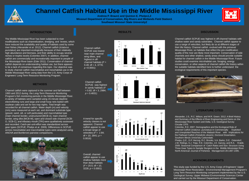 PDF) Channel Catfish Habitat Use in the Middle Mississippi River