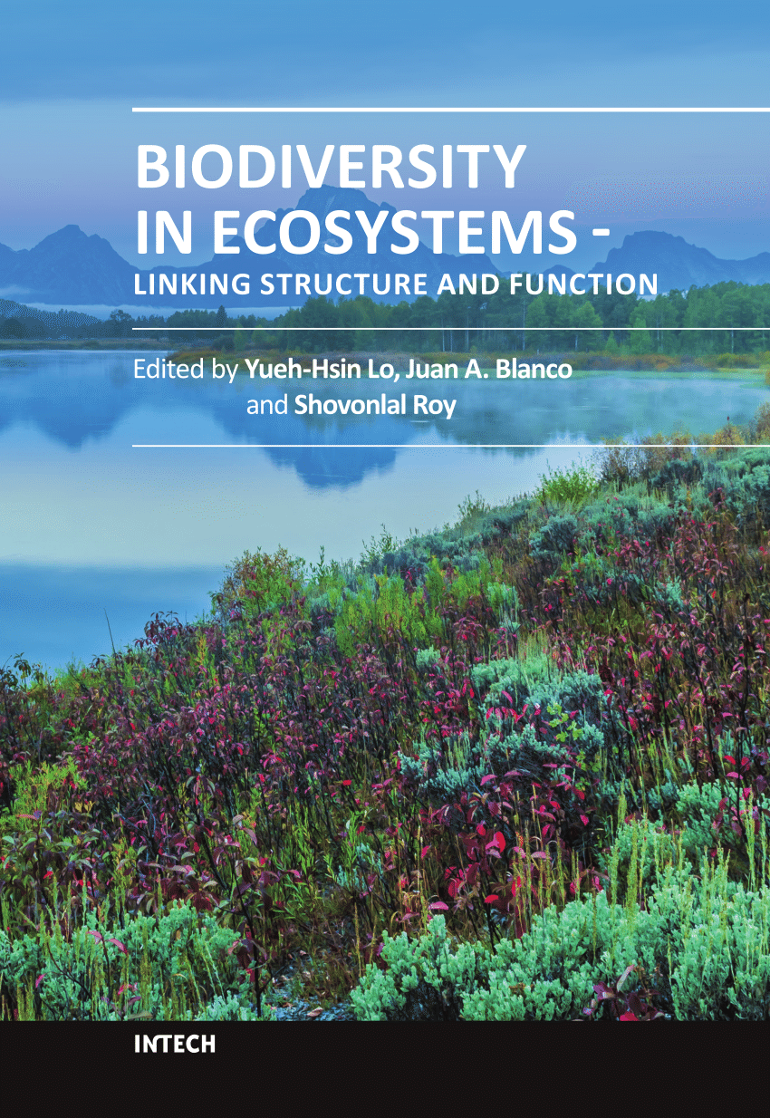 biodiversity and ecosystem essay