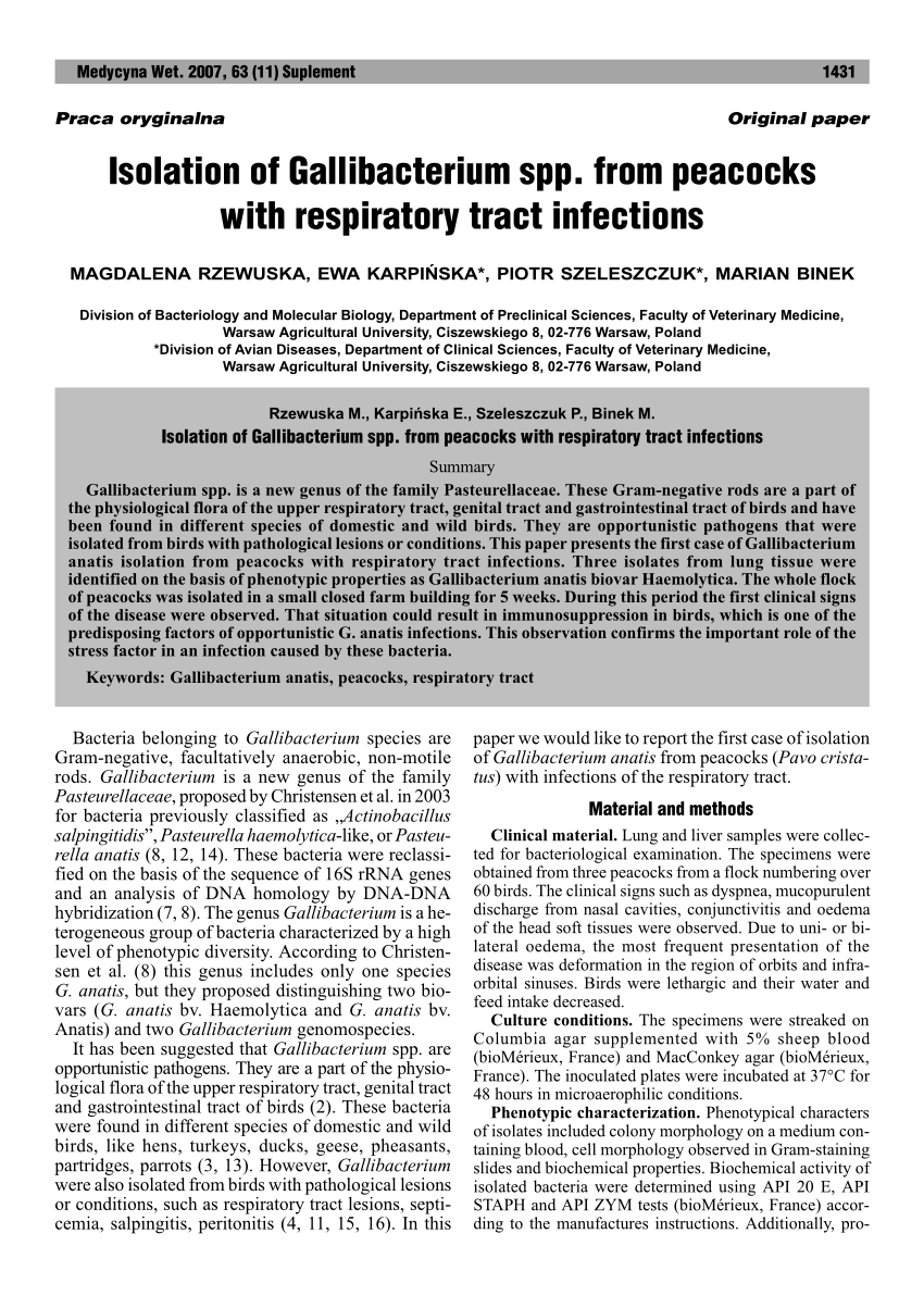 research articles upper respiratory tract infections