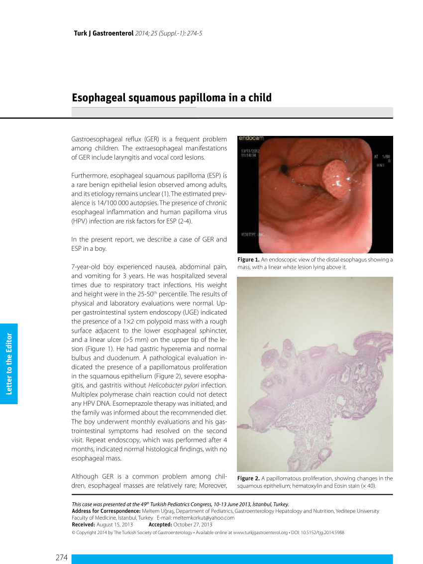 Human papillomavirus in esophagus