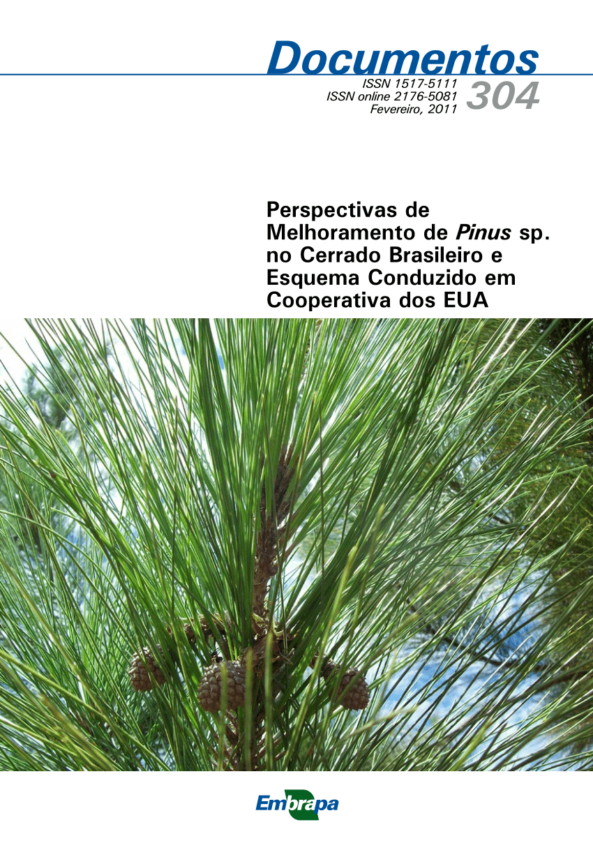 PDF) Propriedades mecânicas da madeira de cinco procedências de Pinus  caribaea var. hondurensis implantadas no Cerrado do Distrito Federal, DF