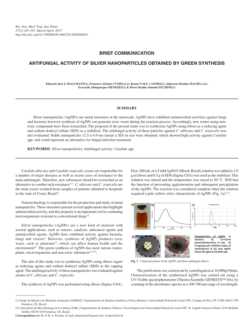 research papers of nanoparticles