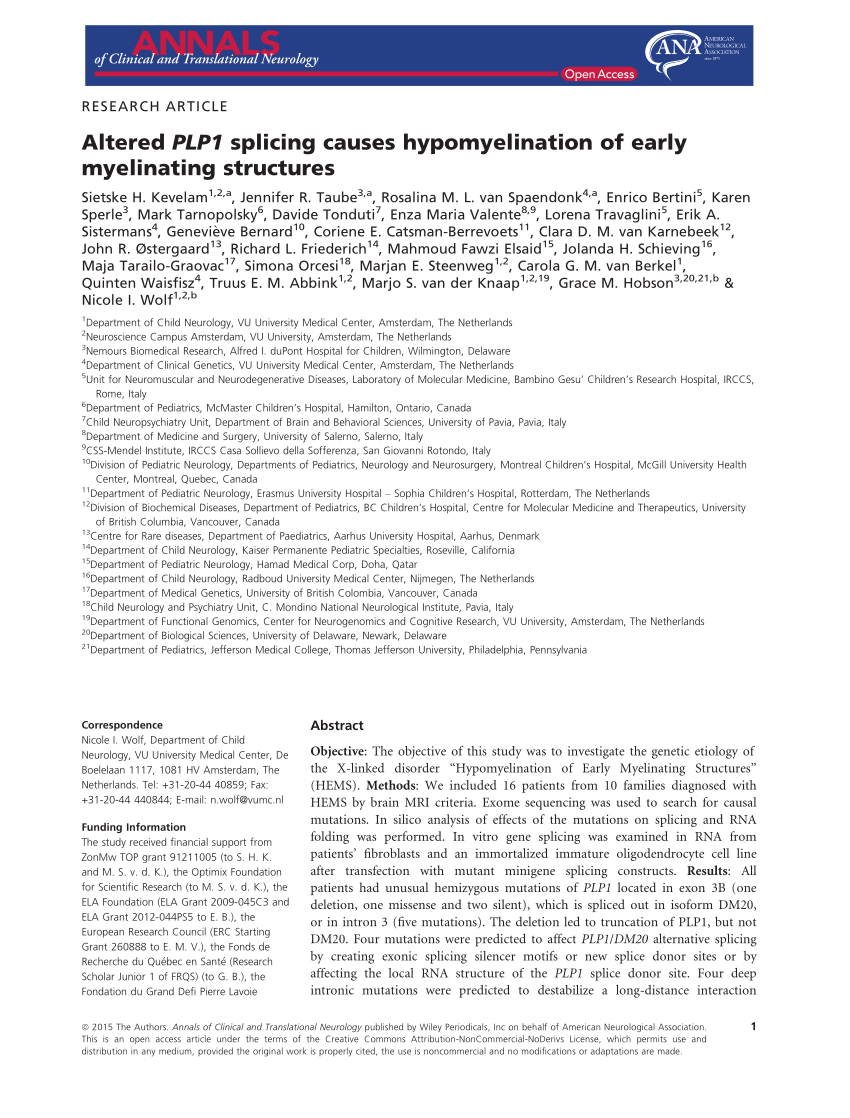 Rna Was Extracted From Cells Transfected With The Wild Type Wt And Download Scientific Diagram