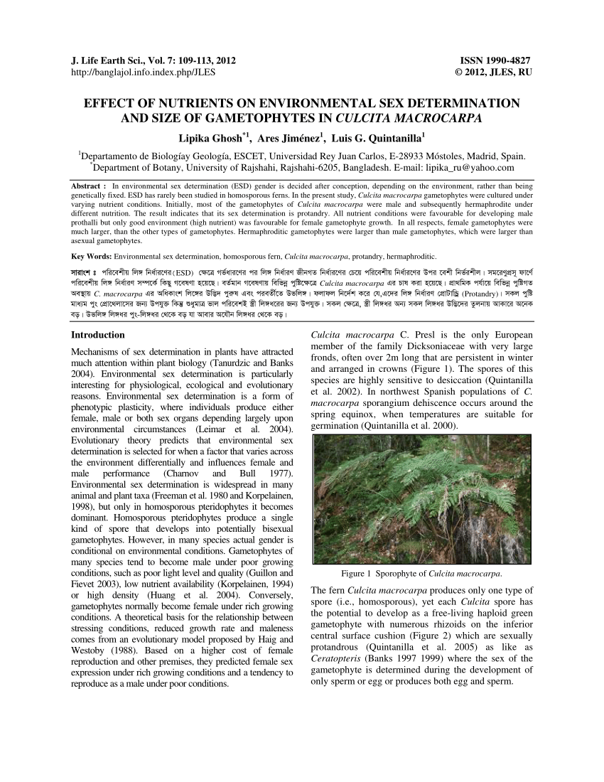 PDF) Effect of Nutrients on Environmental Sex Determination and Size of  Gametophytes in Culcita macrocarpa