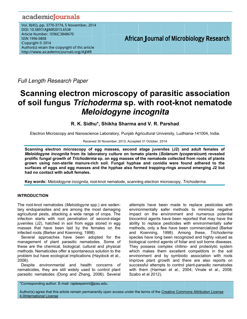 (PDF) Scanning electron microscopy of parasitic association of soil ...