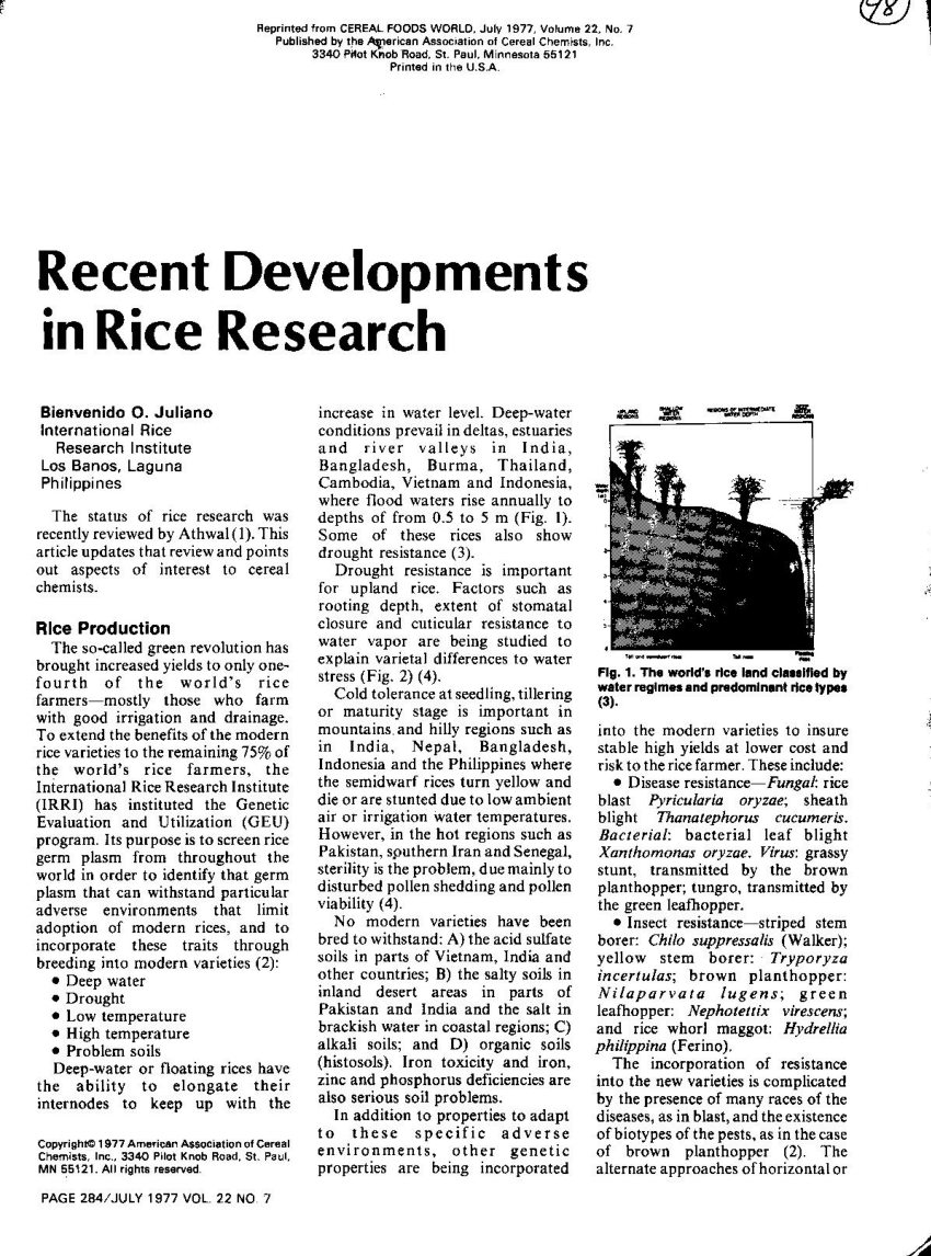 rice hull research paper