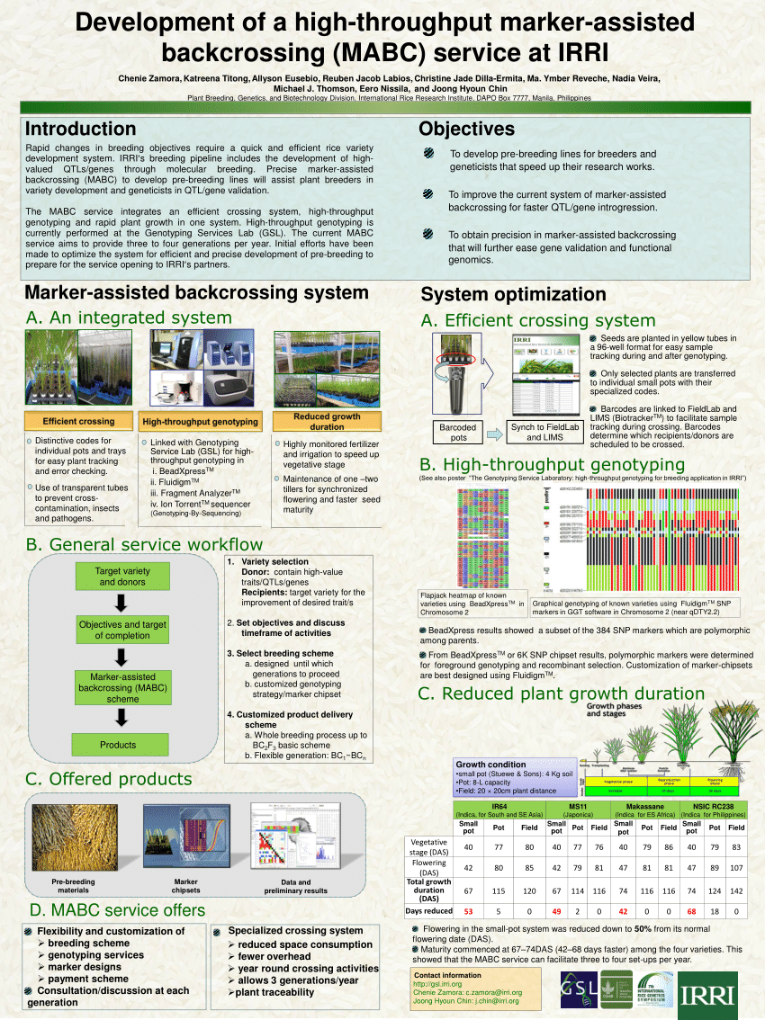 (PDF) Development of a high-throughput marker-assisted backcrossing ...