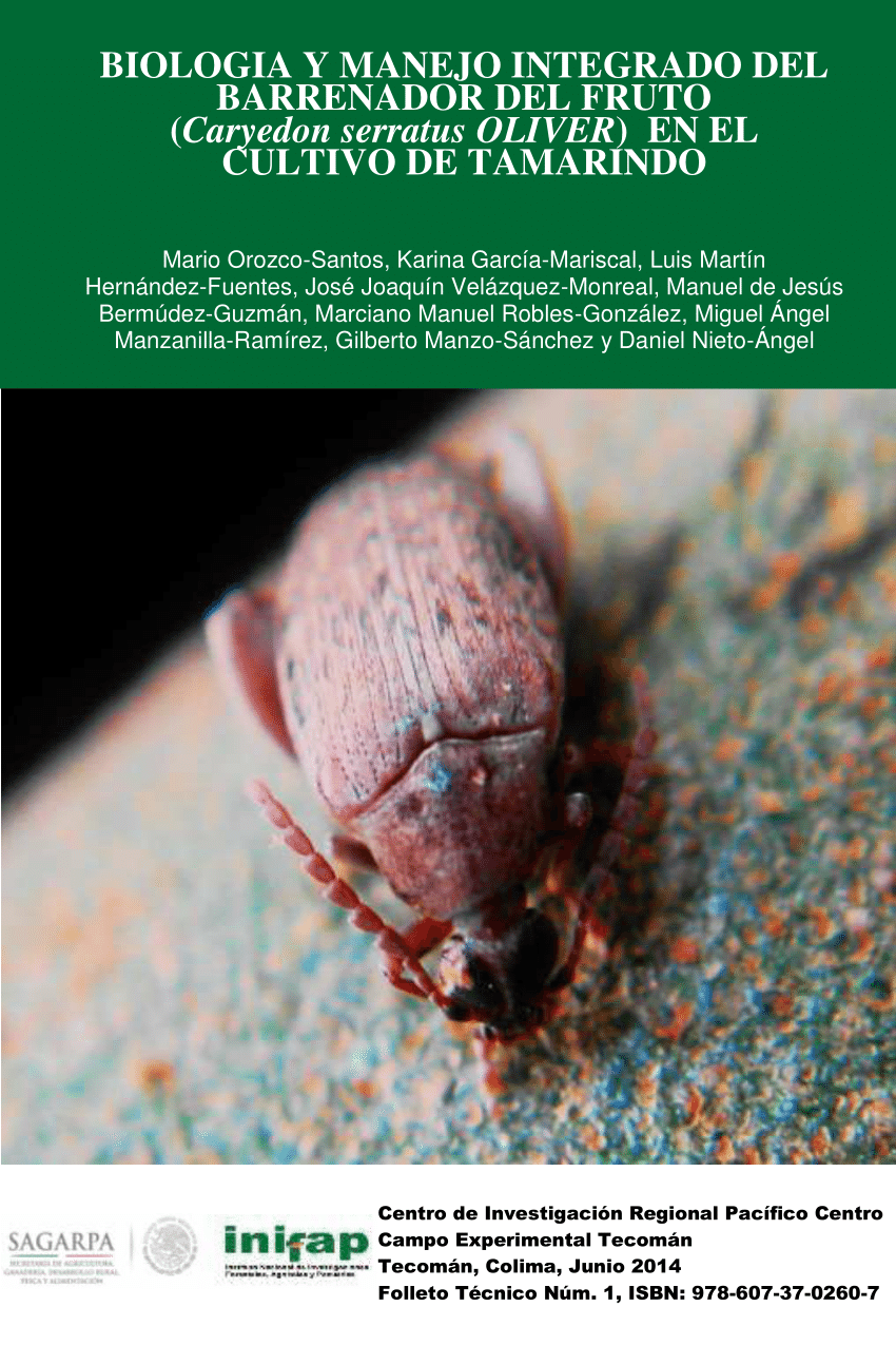 Pdf Biologia Y Manejo Integrado Del Barrenador Del Fruto Caryedon Serratus Oliver En El Cultivo De Tamarindo