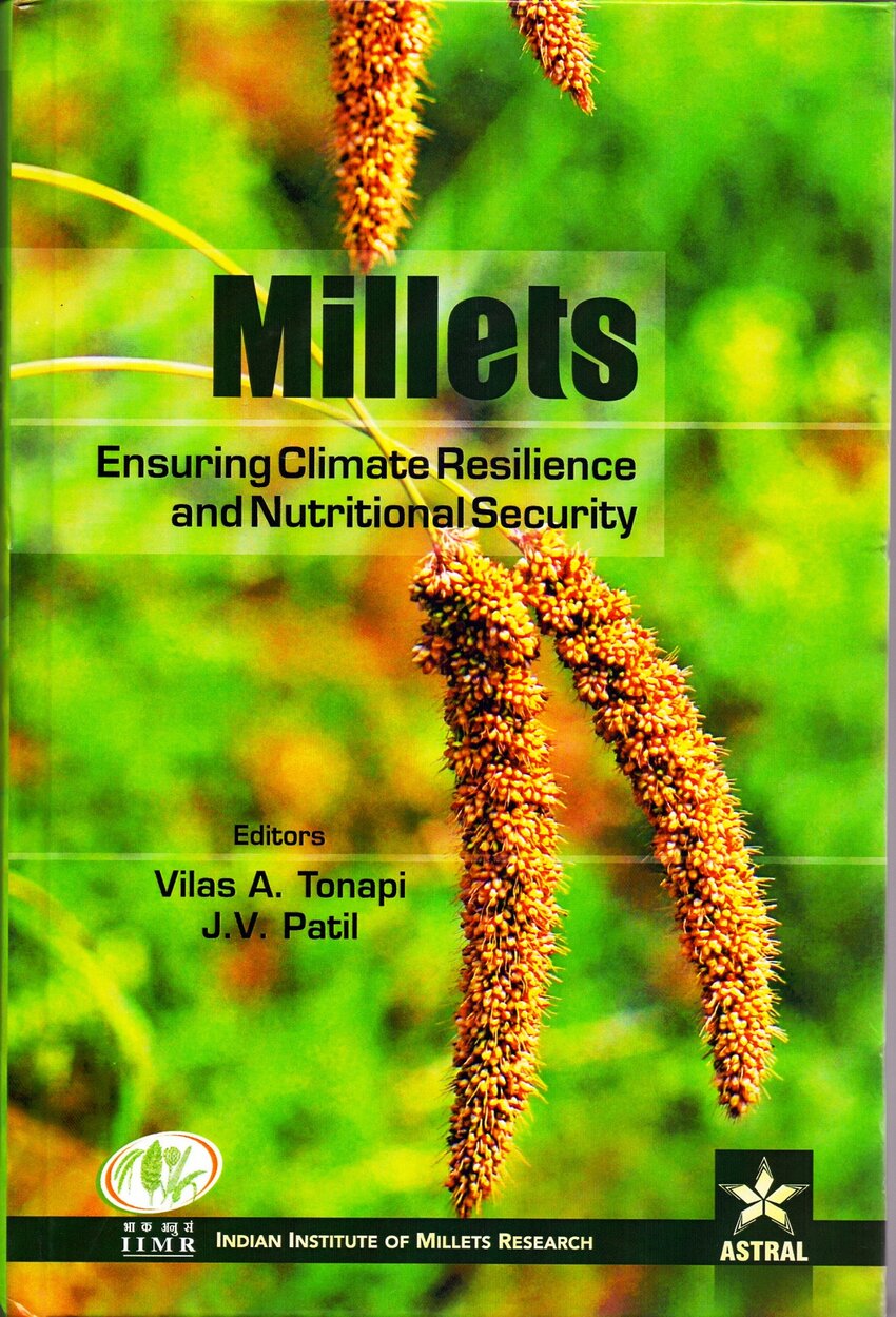 presentation on millets pdf