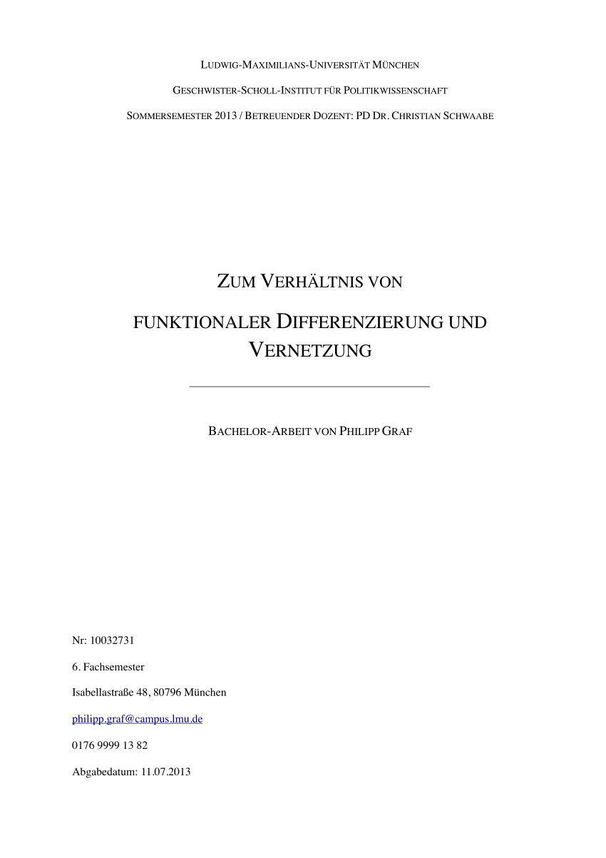 PDF Zum Verhältnis von funktionaler Differenzierung und Vernetzung