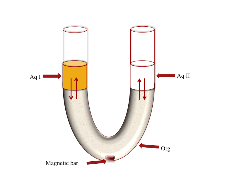 describe the u tube experiment