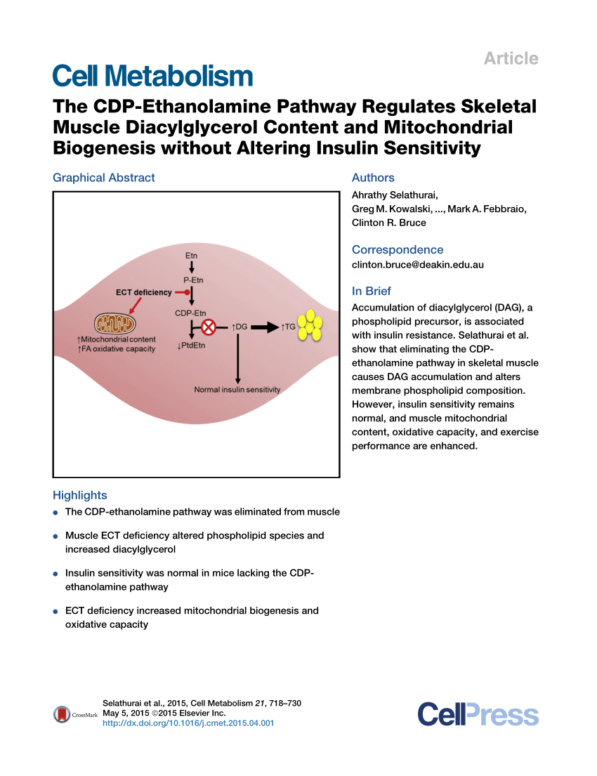 PDF) The CDP-Ethanolamine Pathway Regulates Skeletal Muscle 
