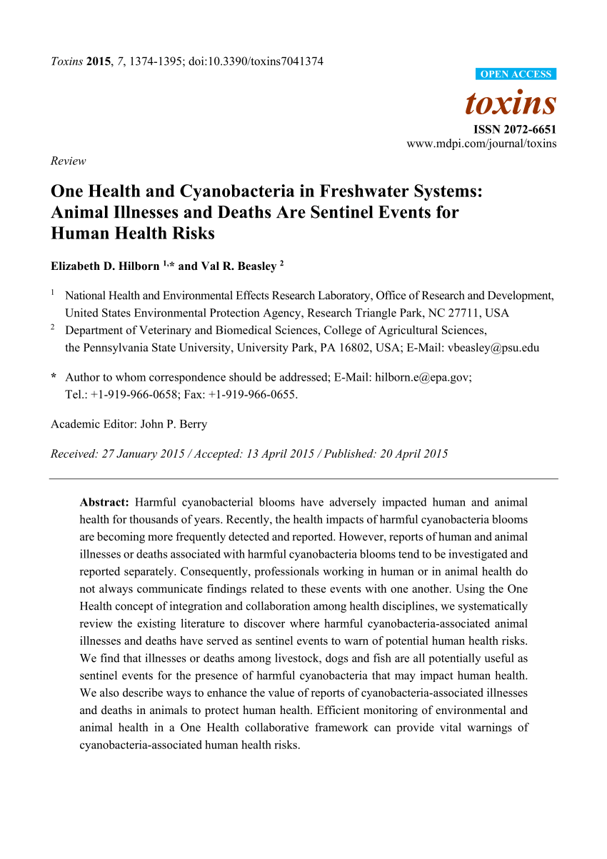 PDF) One Health and Cyanobacteria in Freshwater Systems: Animal 