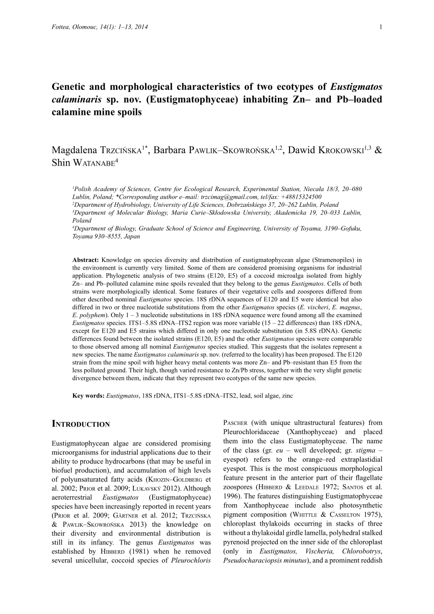 PDF) Genetic and morphological characteristics of two ecotypes of  Eustigmatos calaminaris sp. nov. (Eustigmatophyceae) inhabiting Zn- and  Pb-loaded calamine mine spoils