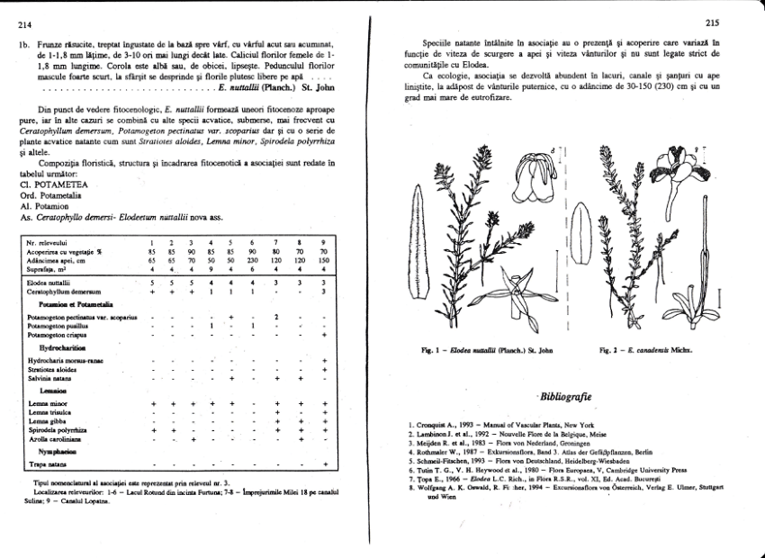 (PDF) Elodea nuttallii(Planchon) St. John – new specie in the Romanian ...