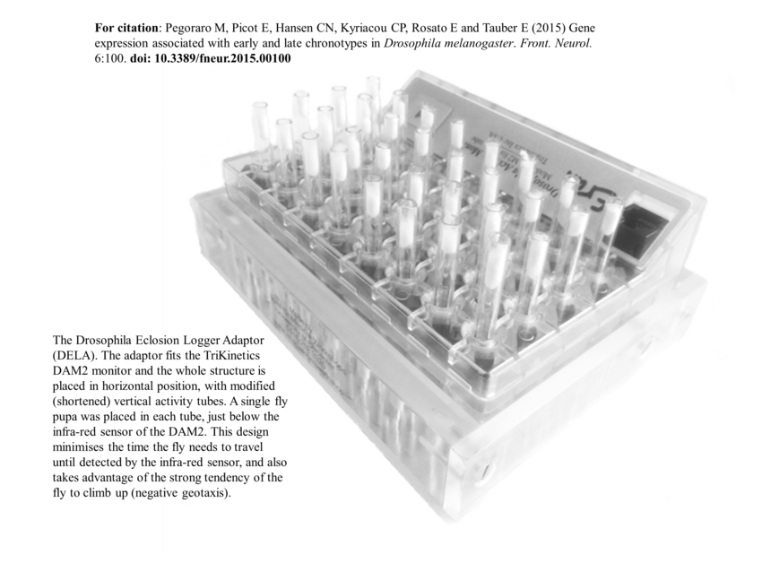 Pdf Drosophila Eclosion Logger Adaptor Dela