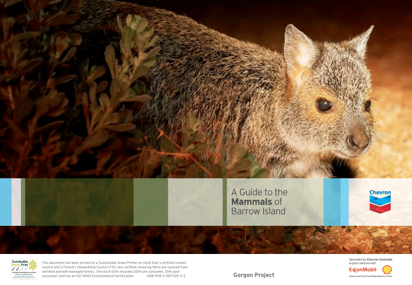 PDF A guide to the mammals of Barrow Island